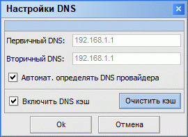 DNSSettings